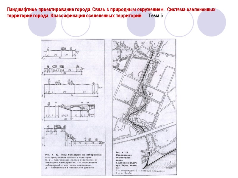 Ландшафтное проектирование города. Связь с природным окружением.  Система озелененных территорий города. Классификация озелененных